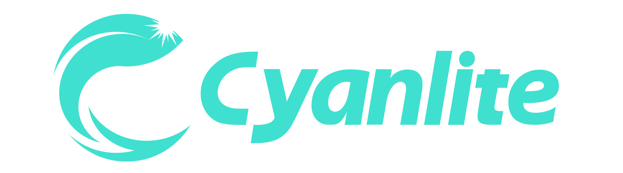 Shanghai Cyanlite Technology Co., Ltd.