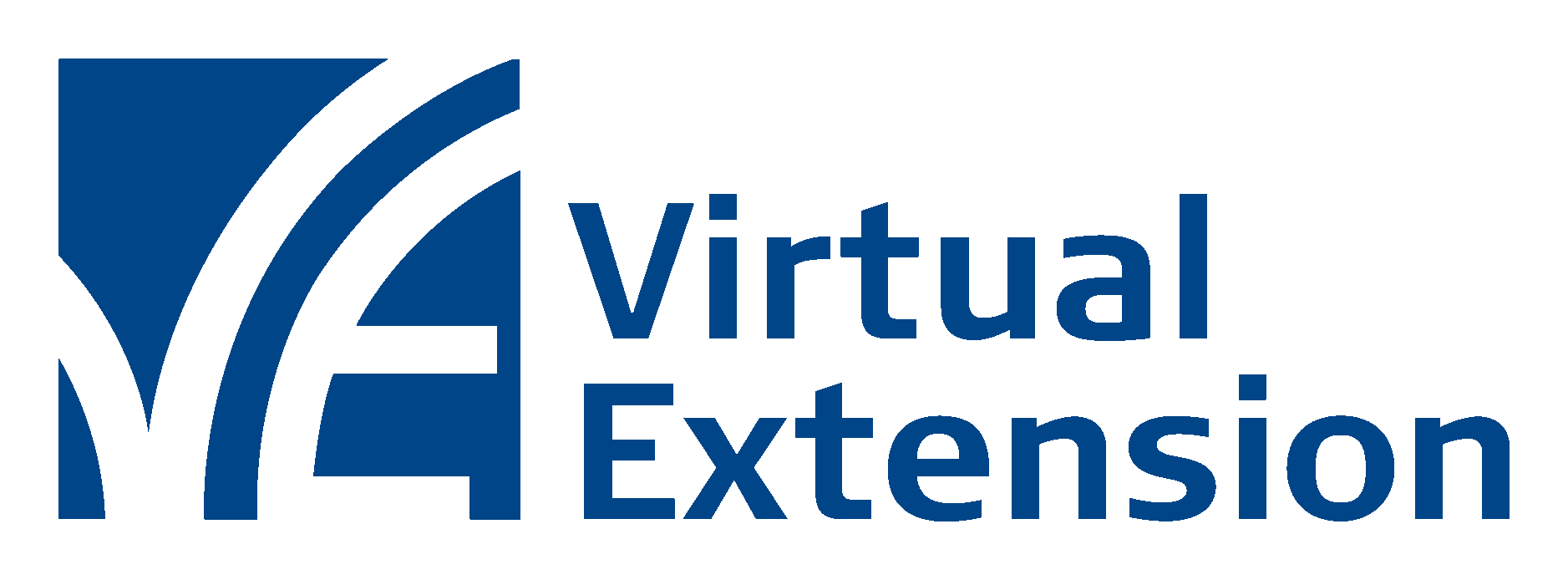 Virtual Extension